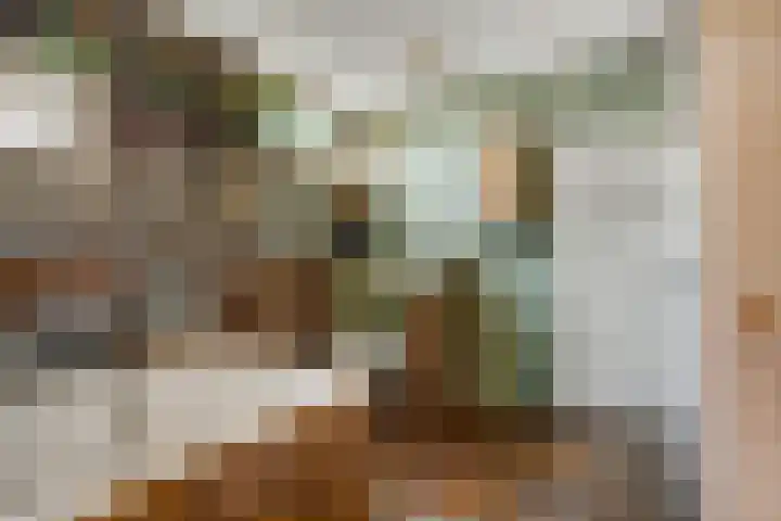 Reinaartlaan 8 Oudenbosch thumbnail 20