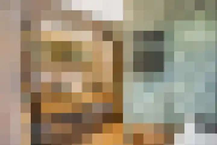 Reinaartlaan 8 Oudenbosch thumbnail 21