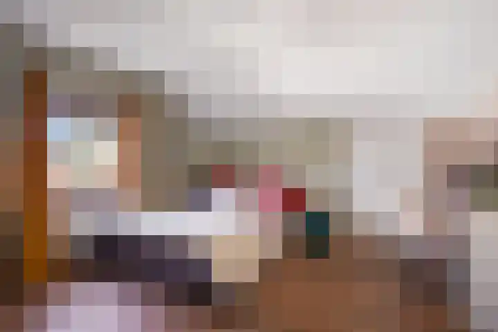 Reinaartlaan 8 Oudenbosch thumbnail 25
