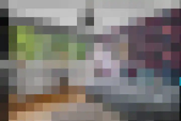 Reinaartlaan 8 Oudenbosch thumbnail 26