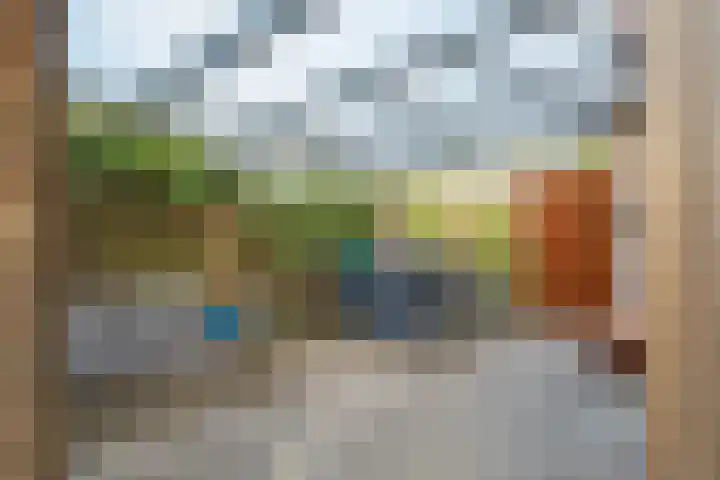 Reinaartlaan 8 Oudenbosch thumbnail 27