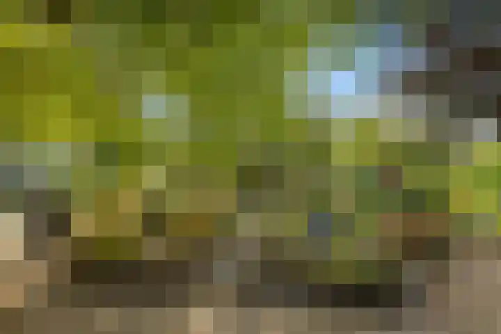 Reinaartlaan 8 Oudenbosch thumbnail 28