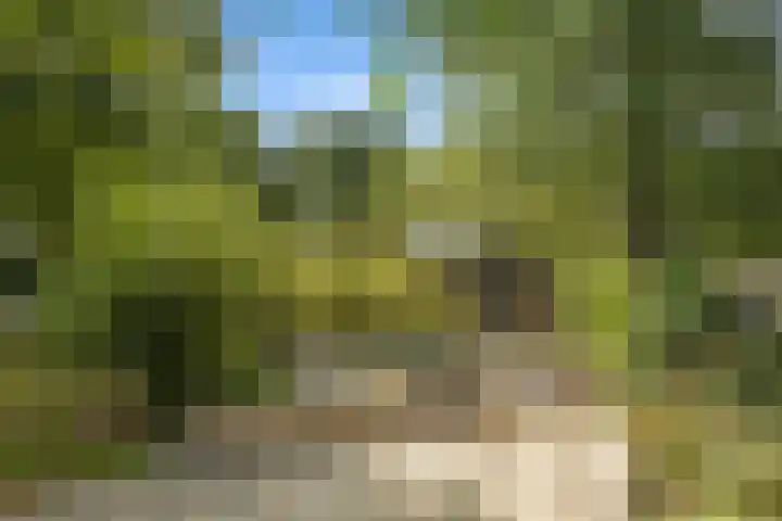 Reinaartlaan 8 Oudenbosch thumbnail 29