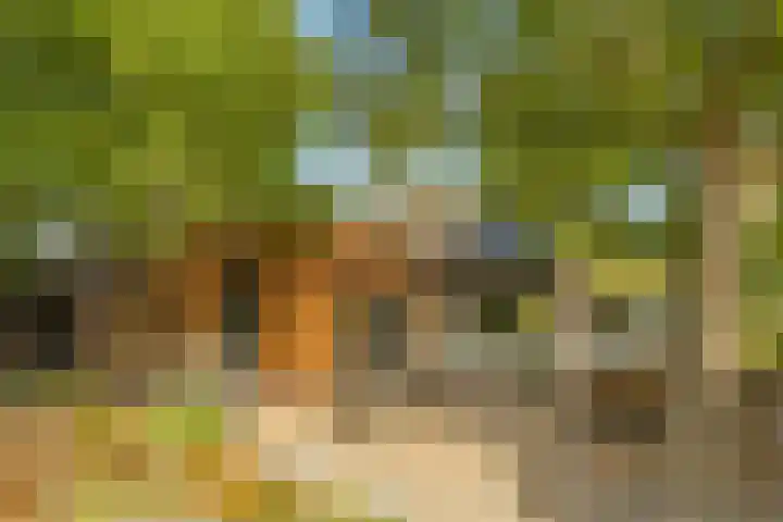 Reinaartlaan 8 Oudenbosch foto 3