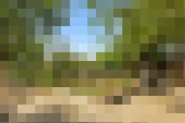 Reinaartlaan 8 Oudenbosch thumbnail 30