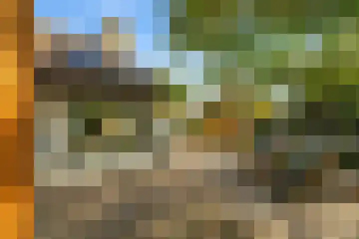Reinaartlaan 8 Oudenbosch thumbnail 31