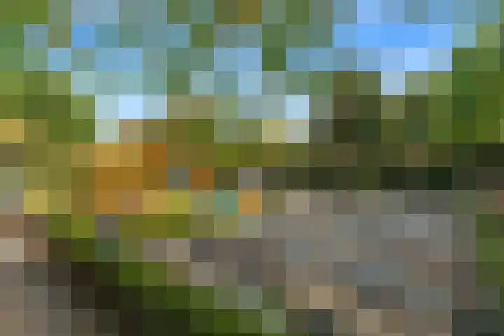 Reinaartlaan 8 Oudenbosch thumbnail 32