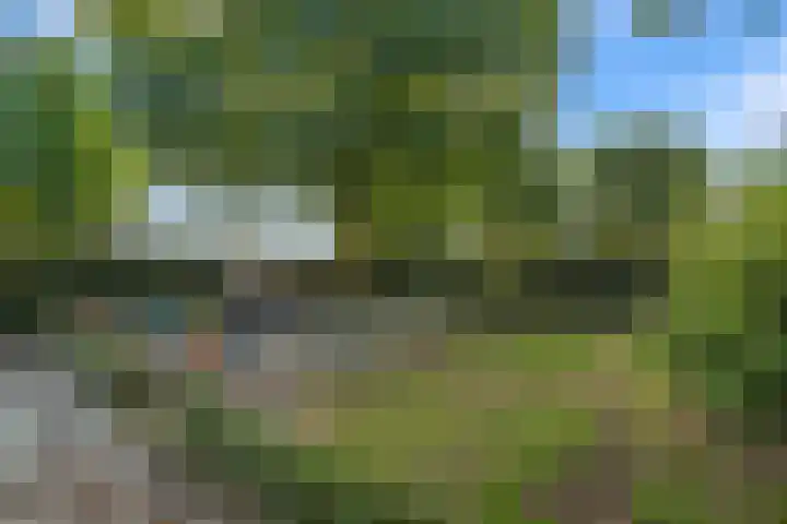 Reinaartlaan 8 Oudenbosch thumbnail 33