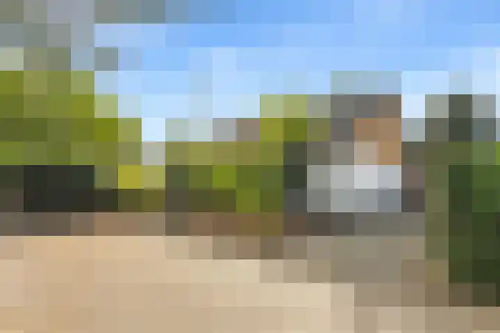 Reinaartlaan 8 Oudenbosch thumbnail 34
