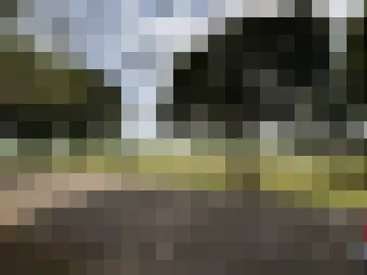 Reinaartlaan 8 Oudenbosch thumbnail 35