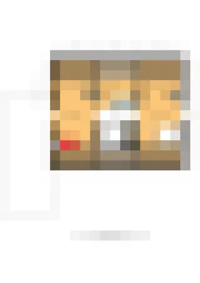 Reinaartlaan 8 Oudenbosch thumbnail 38