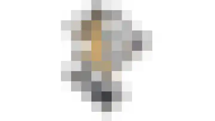 Reinaartlaan 8 Oudenbosch thumbnail 39