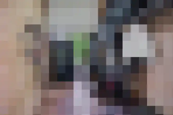 Reinaartlaan 8 Oudenbosch thumbnail 4