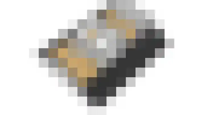 Reinaartlaan 8 Oudenbosch thumbnail 40