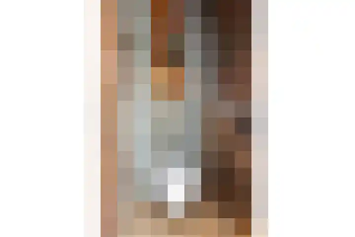 Reinaartlaan 8 Oudenbosch thumbnail 5