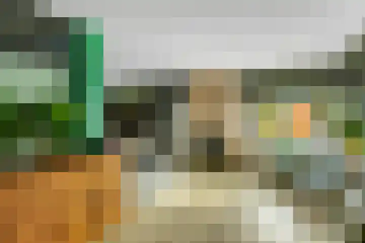 Reinaartlaan 8 Oudenbosch thumbnail 6