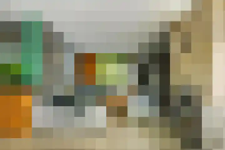 Reinaartlaan 8 Oudenbosch thumbnail 7