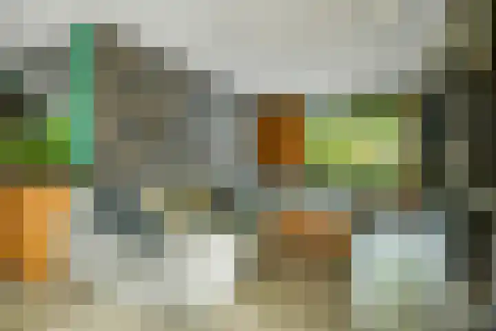 Reinaartlaan 8 Oudenbosch thumbnail 8