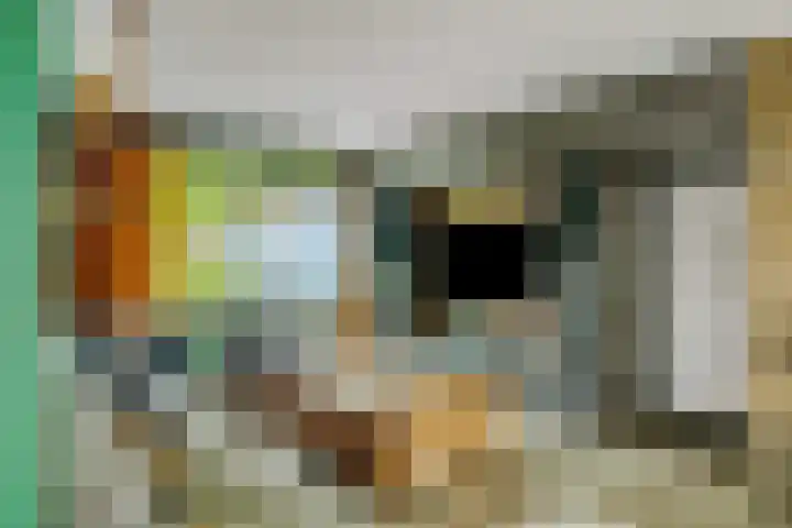 Reinaartlaan 8 Oudenbosch thumbnail 9