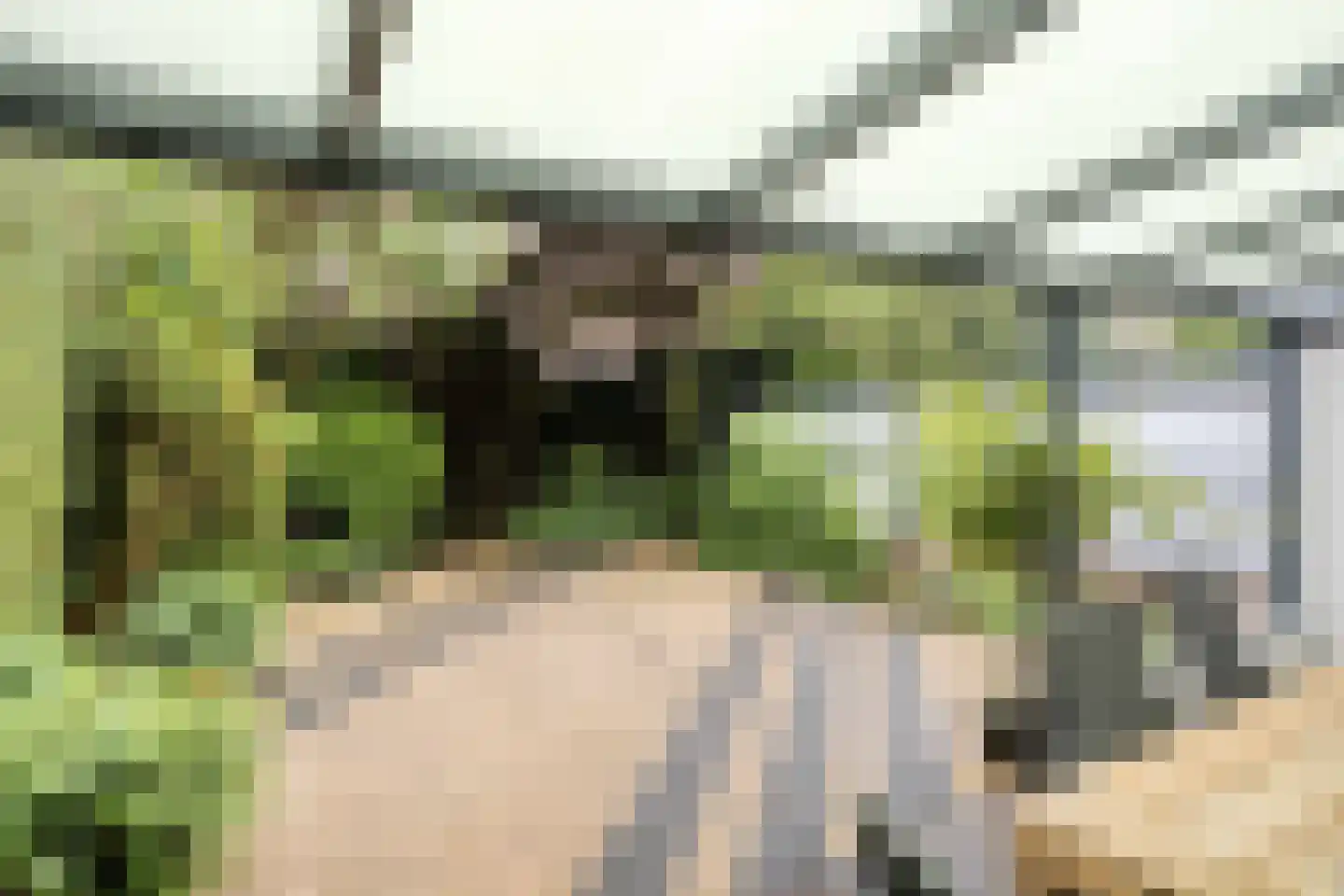 Reinaartsingel 37 Maastricht thumbnail 21