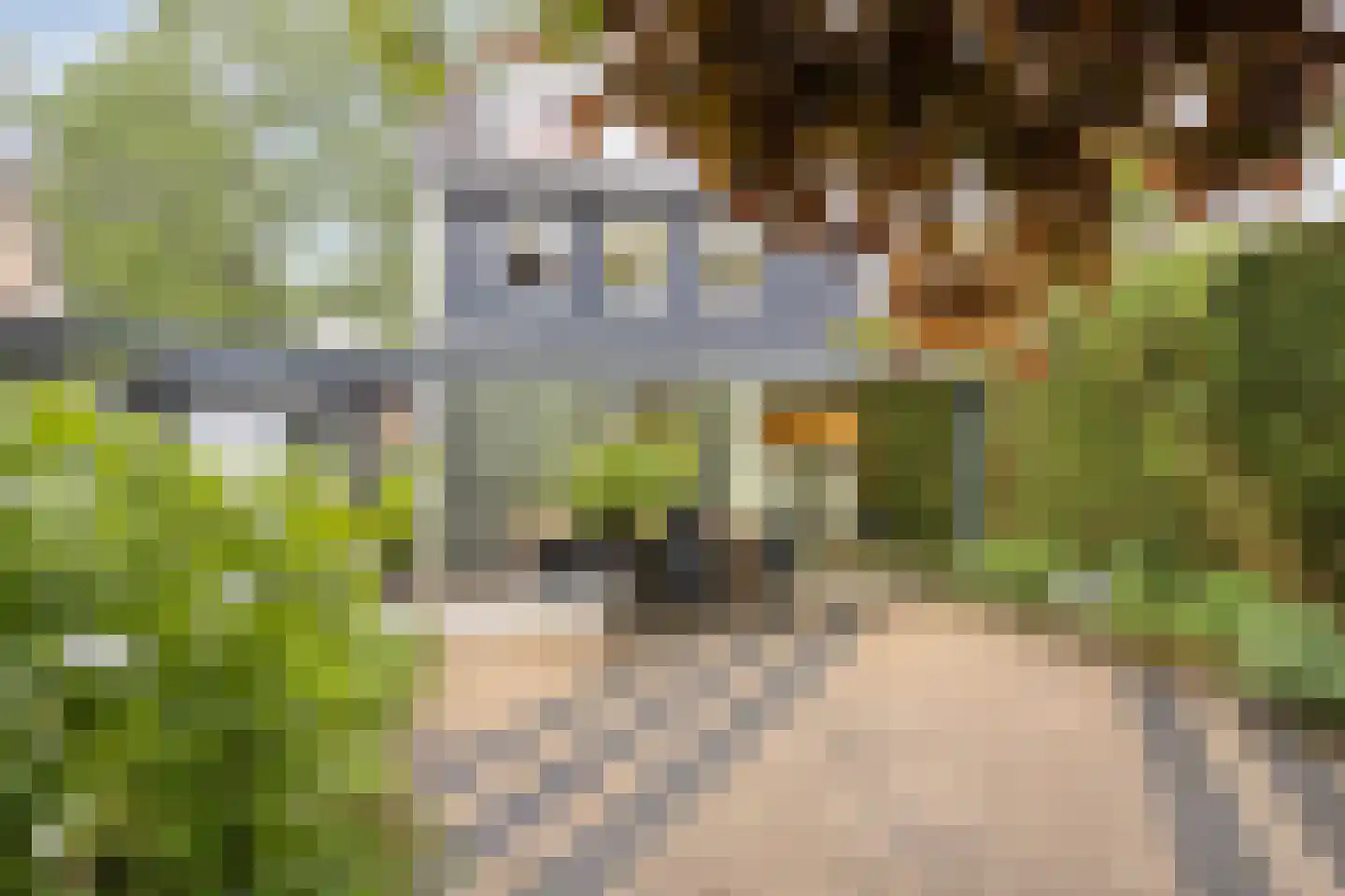 Reinaartsingel 37 Maastricht thumbnail 22
