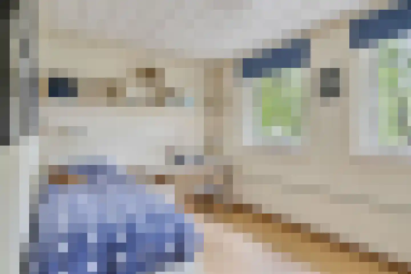 Reinaartsingel 37 Maastricht thumbnail 24