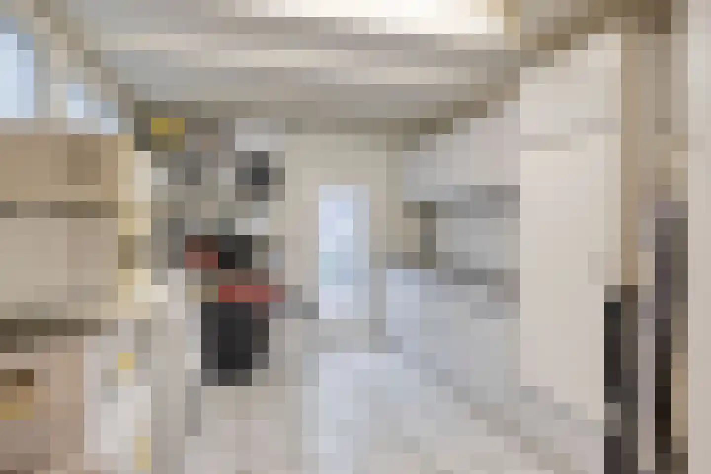 Reinaartsingel 37 Maastricht thumbnail 37