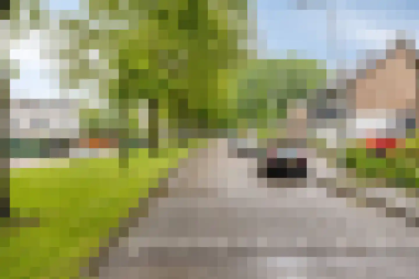 Reinaartsingel 37 Maastricht thumbnail 42