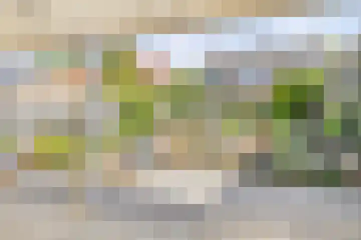 Reinaartsingel 97 Maastricht thumbnail 19