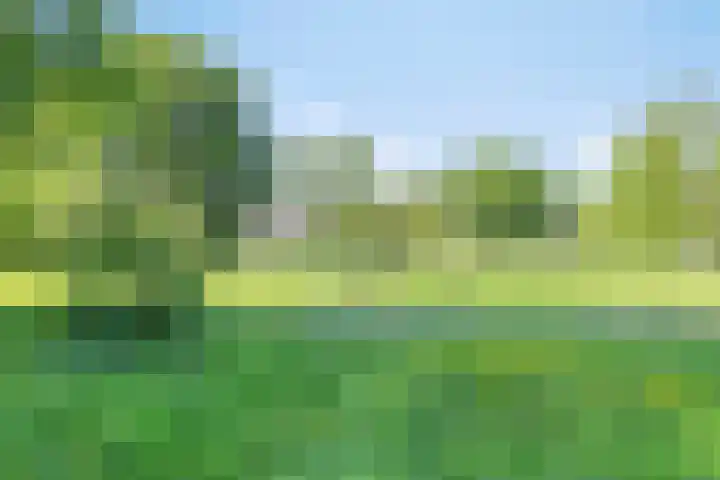 Reinaartsingel 97 Maastricht thumbnail 24