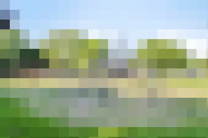 Reinaartsingel 97 Maastricht thumbnail 25