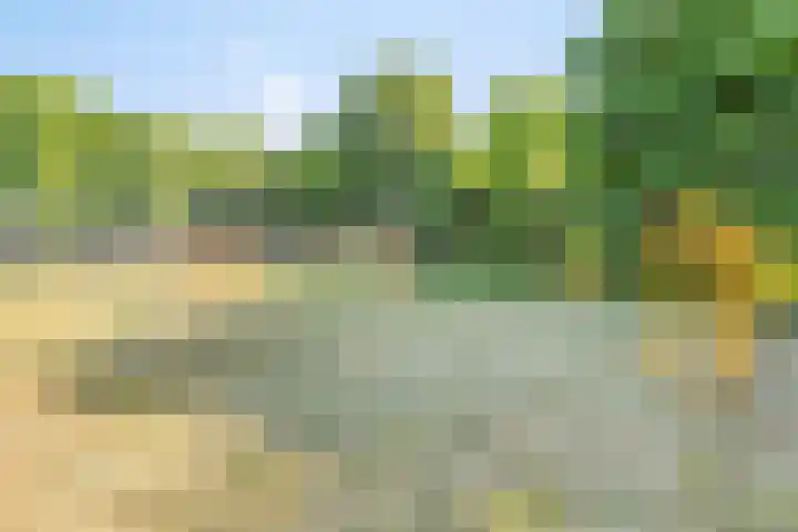Reinaartsingel 97 Maastricht thumbnail 26