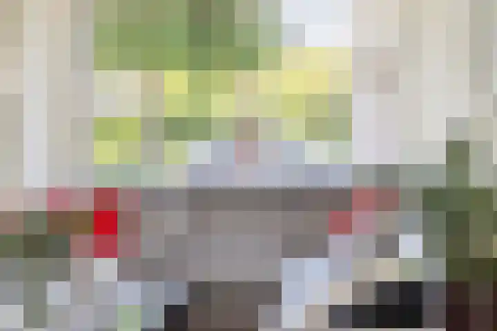 Reinaartsingel 97 Maastricht thumbnail 6