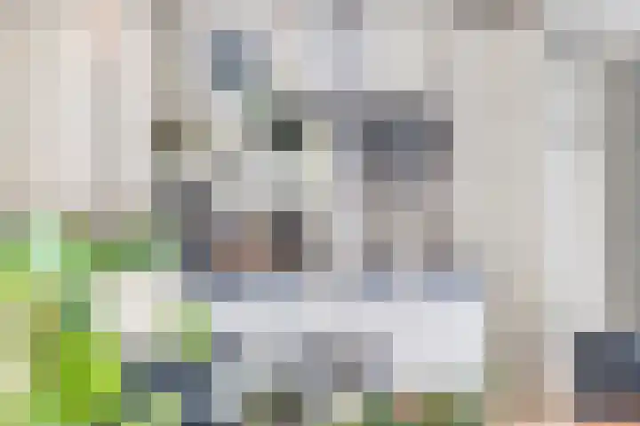 Reinaartsingel 97 Maastricht thumbnail 7