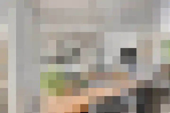 Reinaartsingel 97 Maastricht thumbnail 8