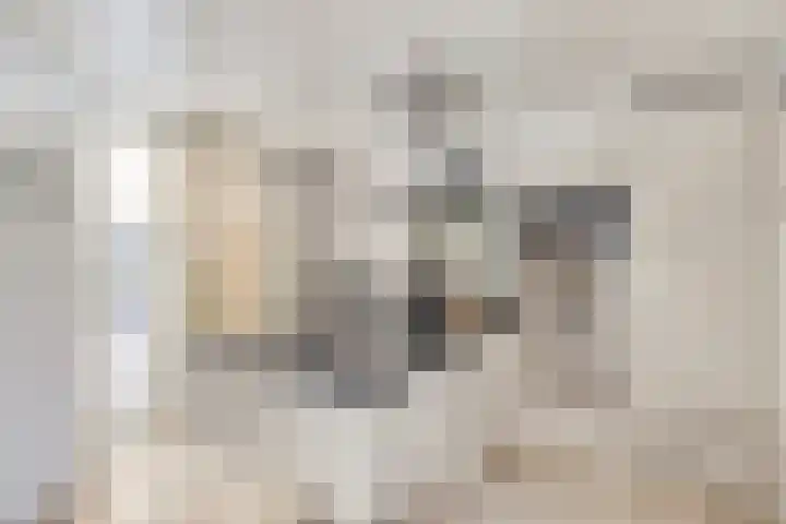 Reinaartsingel 97 Maastricht thumbnail 9