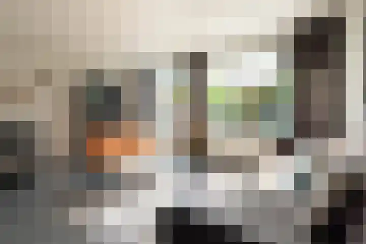 Reinaerdshof 49 Barneveld thumbnail 11