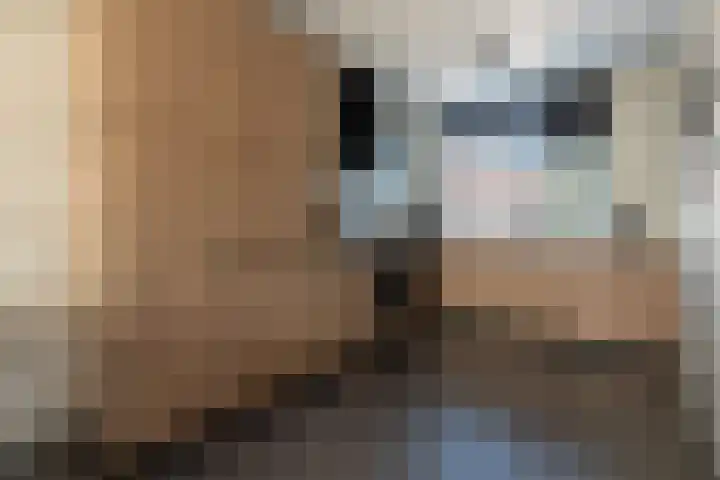 Reinaerdshof 49 Barneveld thumbnail 16