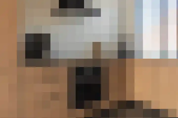 Reinaerdshof 49 Barneveld thumbnail 18
