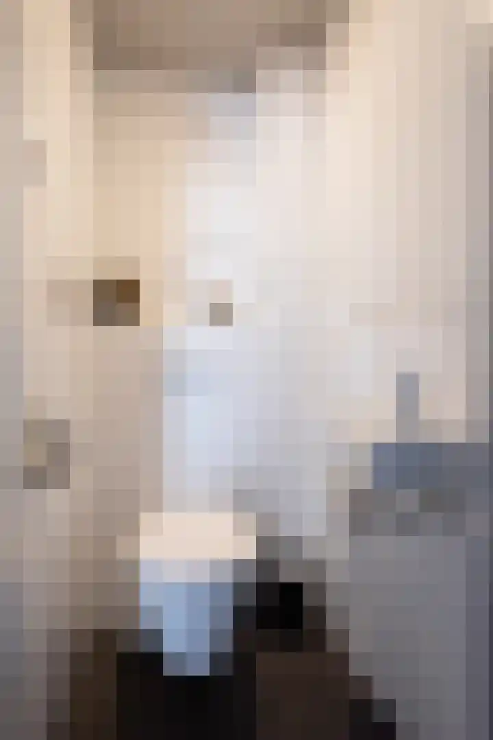 Reinaerdshof 49 Barneveld thumbnail 21