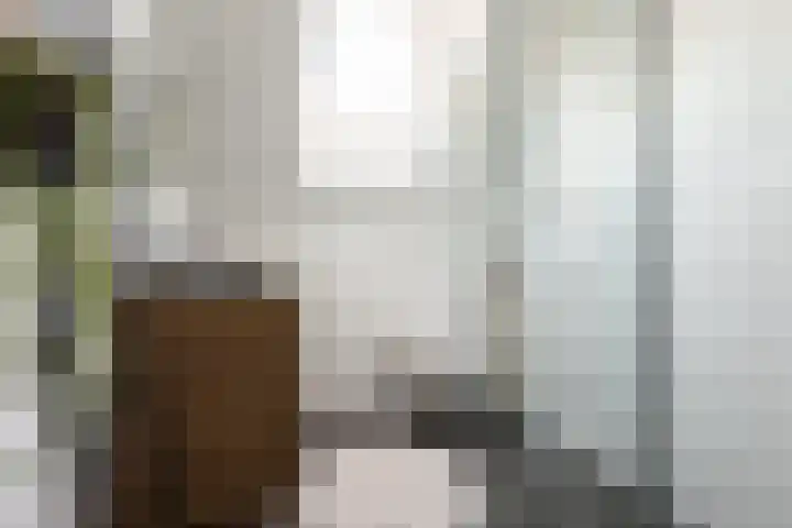 Reinaerdshof 49 Barneveld thumbnail 29