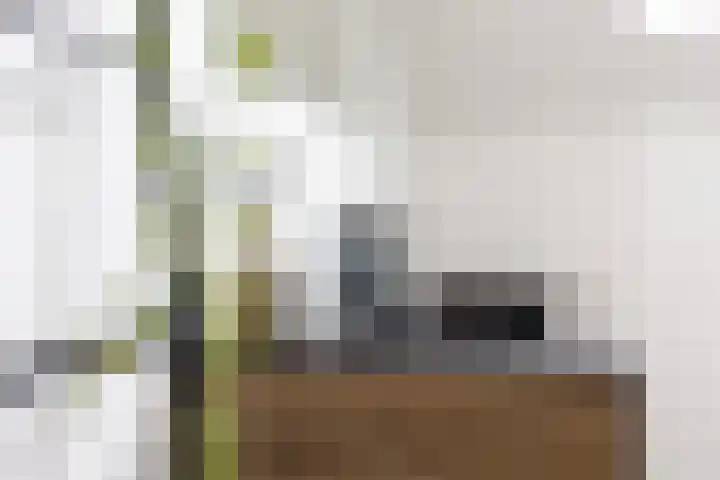 Reinaerdshof 49 Barneveld thumbnail 30