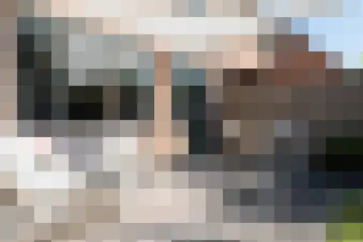 Reinaerdshof 49 Barneveld thumbnail 39