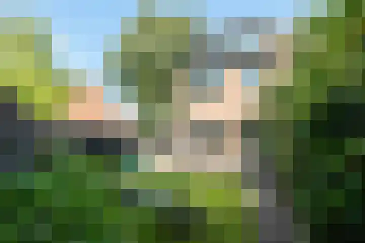 Reinaerdshof 49 Barneveld thumbnail 42