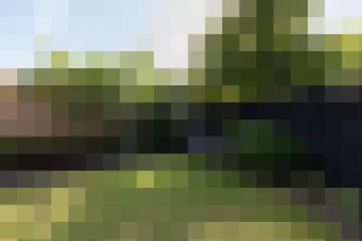 Reinaerdshof 49 Barneveld thumbnail 43