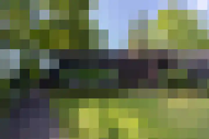 Reinaerdshof 49 Barneveld thumbnail 44