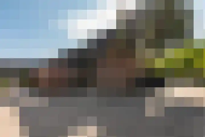 Reinaerdshof 49 Barneveld thumbnail 5
