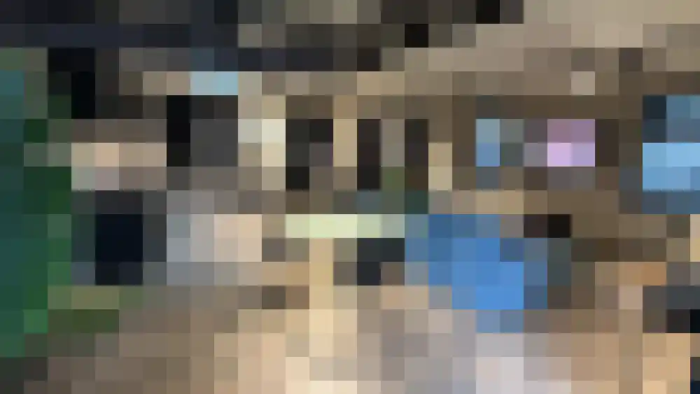 Reinaert de Vosstraat 13 Amsterdam thumbnail 10