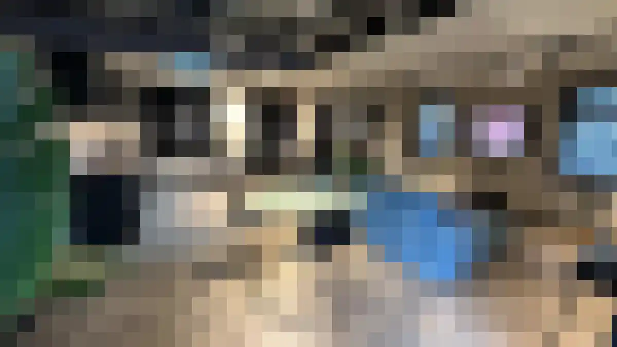 Reinaert de Vosstraat 13 Amsterdam thumbnail 4
