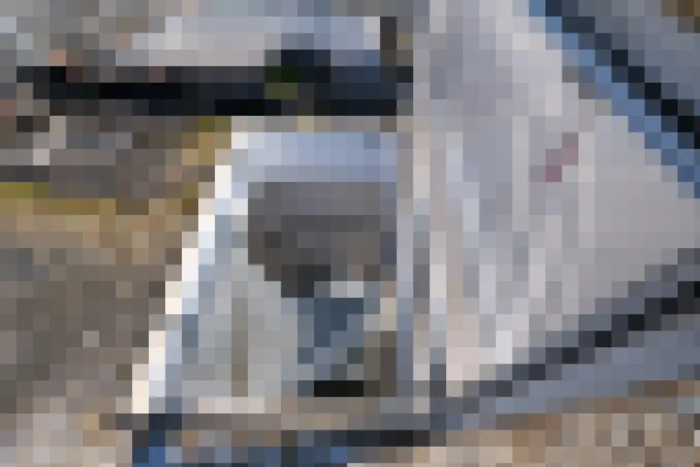 Reinaert de Vosstraat 3 1 Amsterdam thumbnail 37